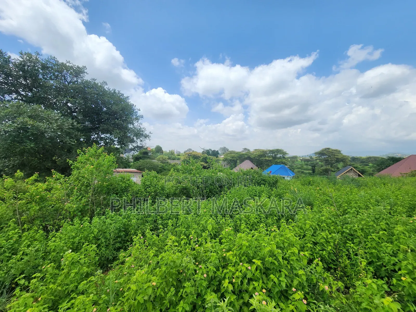 Kiwanja Kizuri Kinauzwa