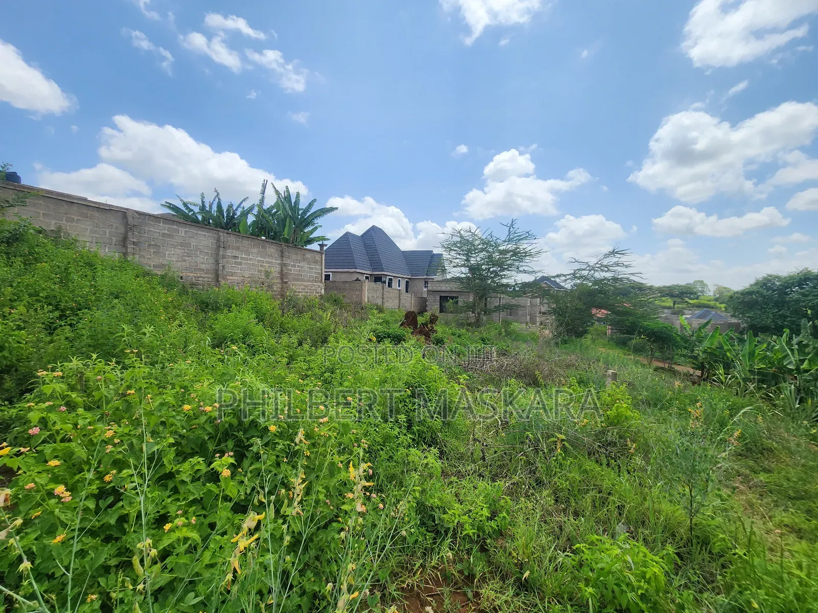 Kiwanja Kizuri Kinauzwa