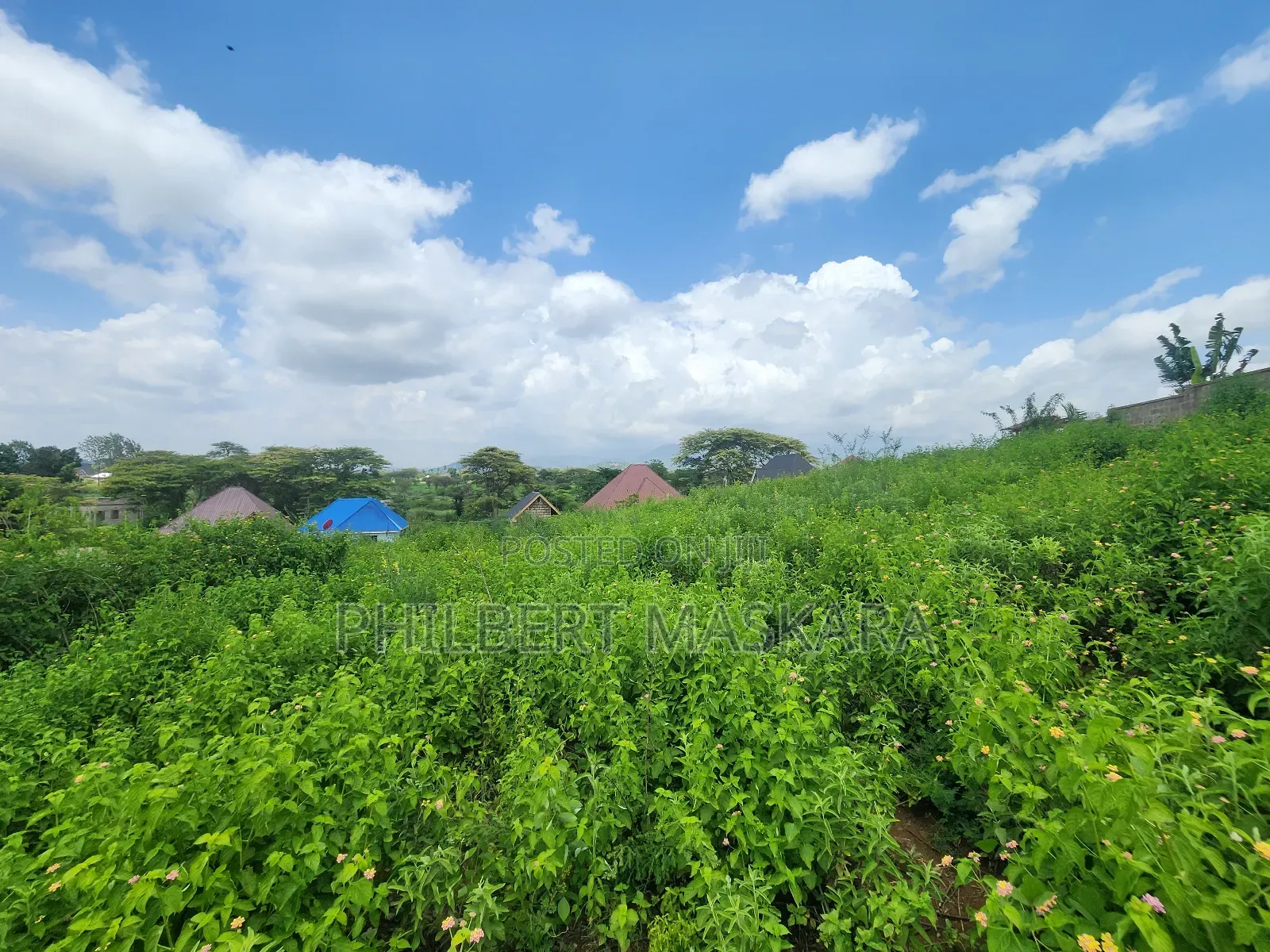 Kiwanja Kizuri Kinauzwa