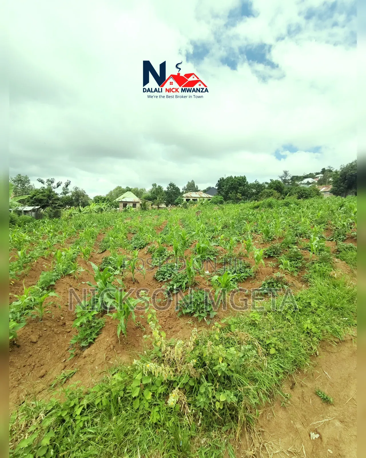 Plot for Sale