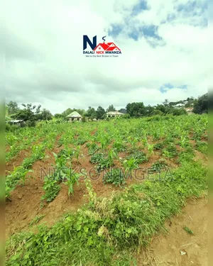 Plot for Sale