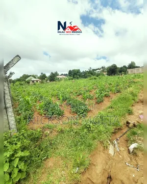Plot for Sale