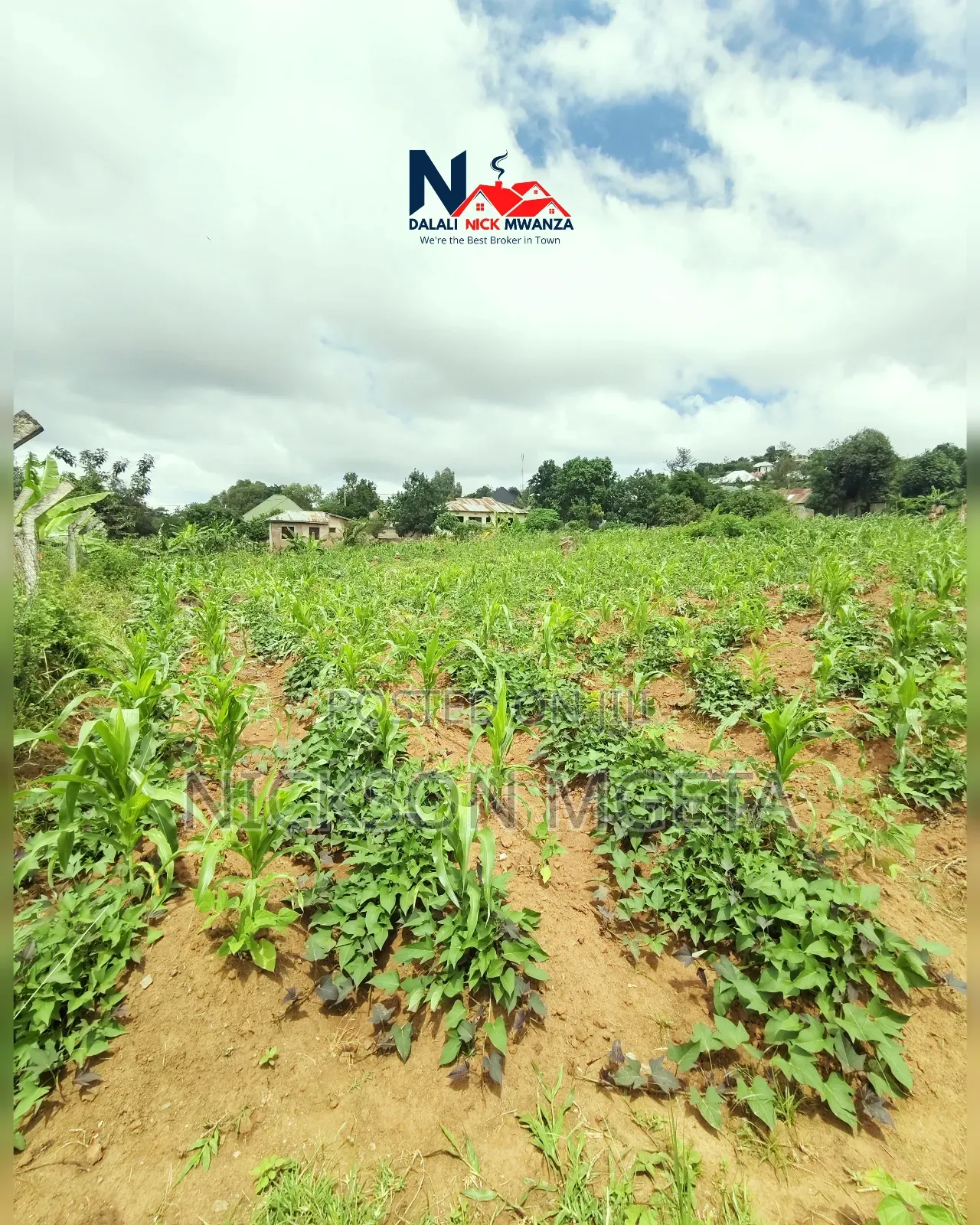 Plot for Sale