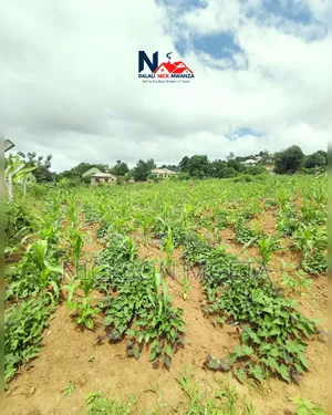 Plot for Sale