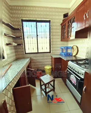 Furnished 2bdrm Apartment in Dalali_Nick_Mwanza, Nyasaka for rent