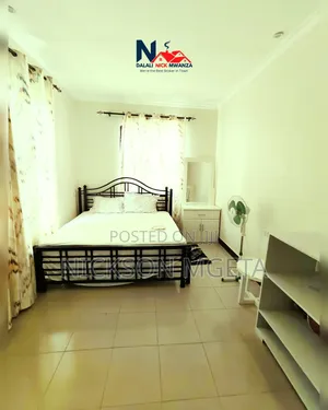 Furnished 2bdrm Apartment in Dalali_Nick_Mwanza, Nyasaka for rent