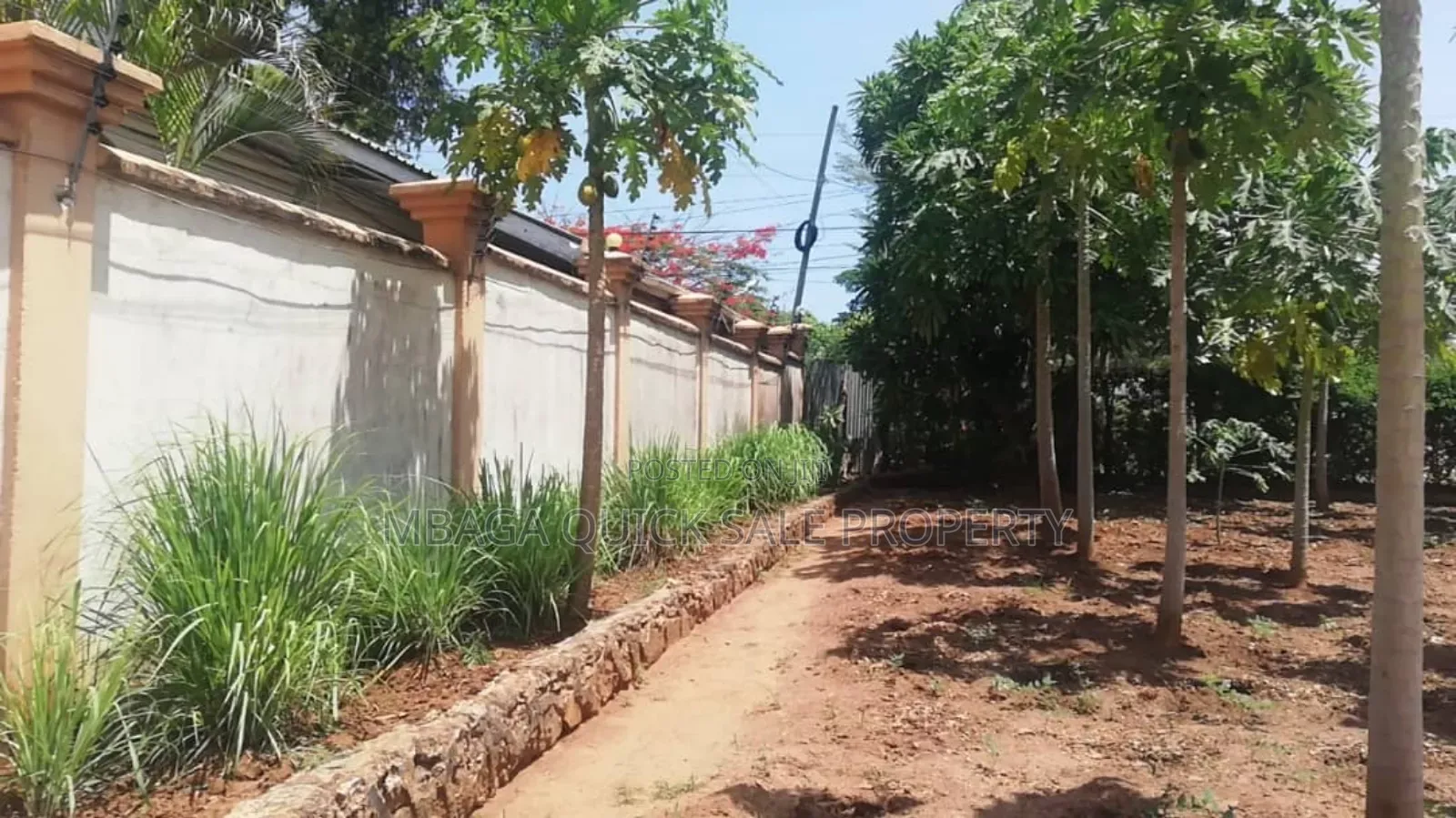 4bdrm House in Ada Estate for rent