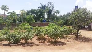4bdrm House in Ada Estate for rent