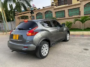 Nissan Juke 2011 Gray