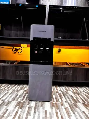 Water Dispenser With Fridge