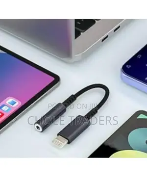 Lightning to Aux Adapter Converter