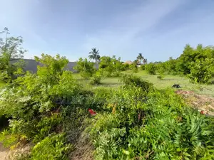 Plot for Sale Kigamboni Kisota