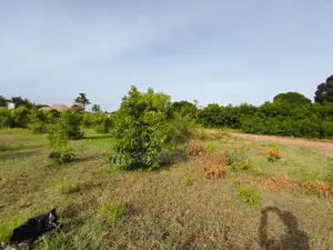 Plot for Sale Kigamboni Kisota