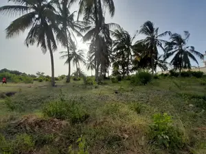 Kiwanja Kinauzwa Kigamboni Kisota
