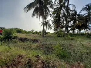 Kiwanja Kinauzwa Kigamboni Kisota