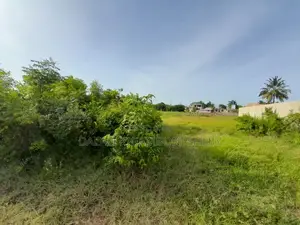 Kiwanja Kinauzwa Kigamboni Kisota
