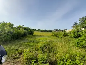 Kiwanja Kinauzwa Kigamboni Kisota