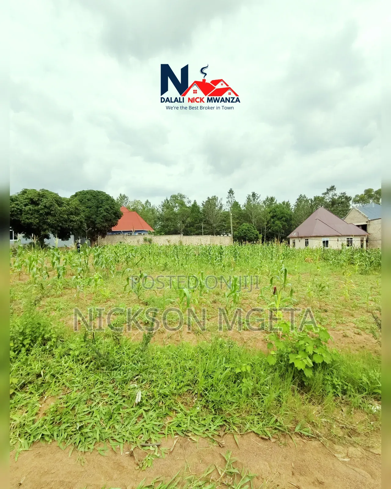 Plot for Sale