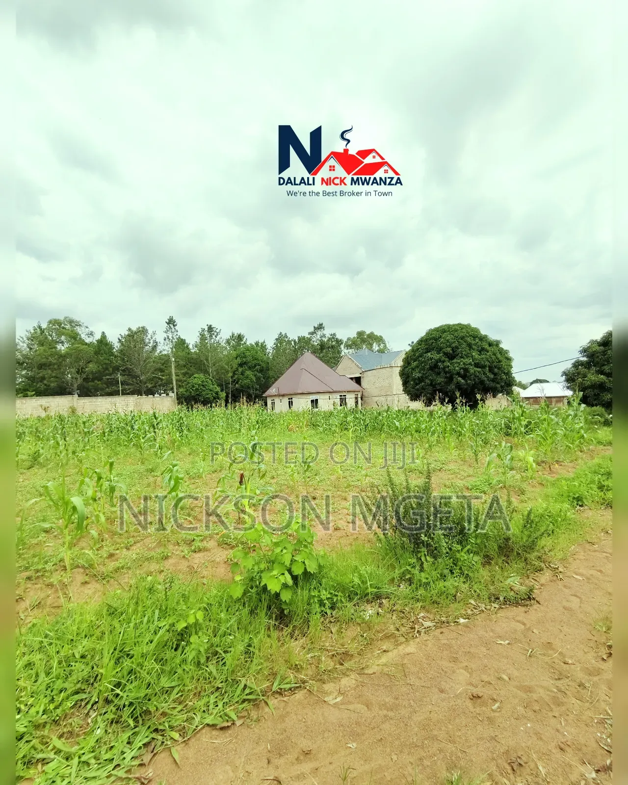 Plot for Sale