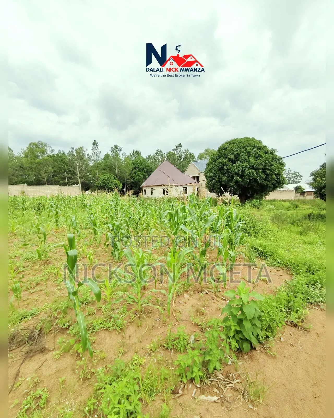 Plot for Sale