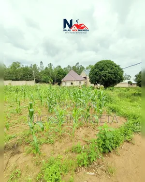 Plot for Sale