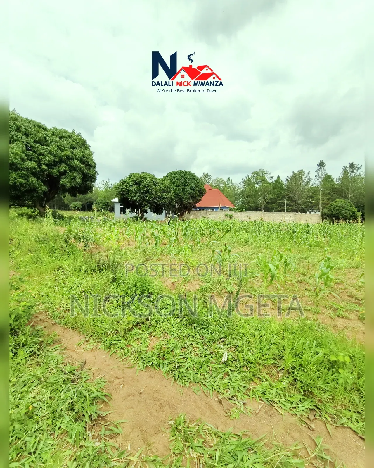 Plot for Sale