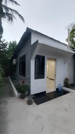2bdrm Duplex in Mikocheni B Rose for rent
