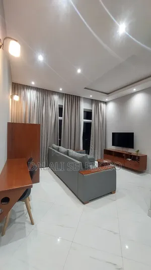Furnished Mini Flat in Sinza A for rent