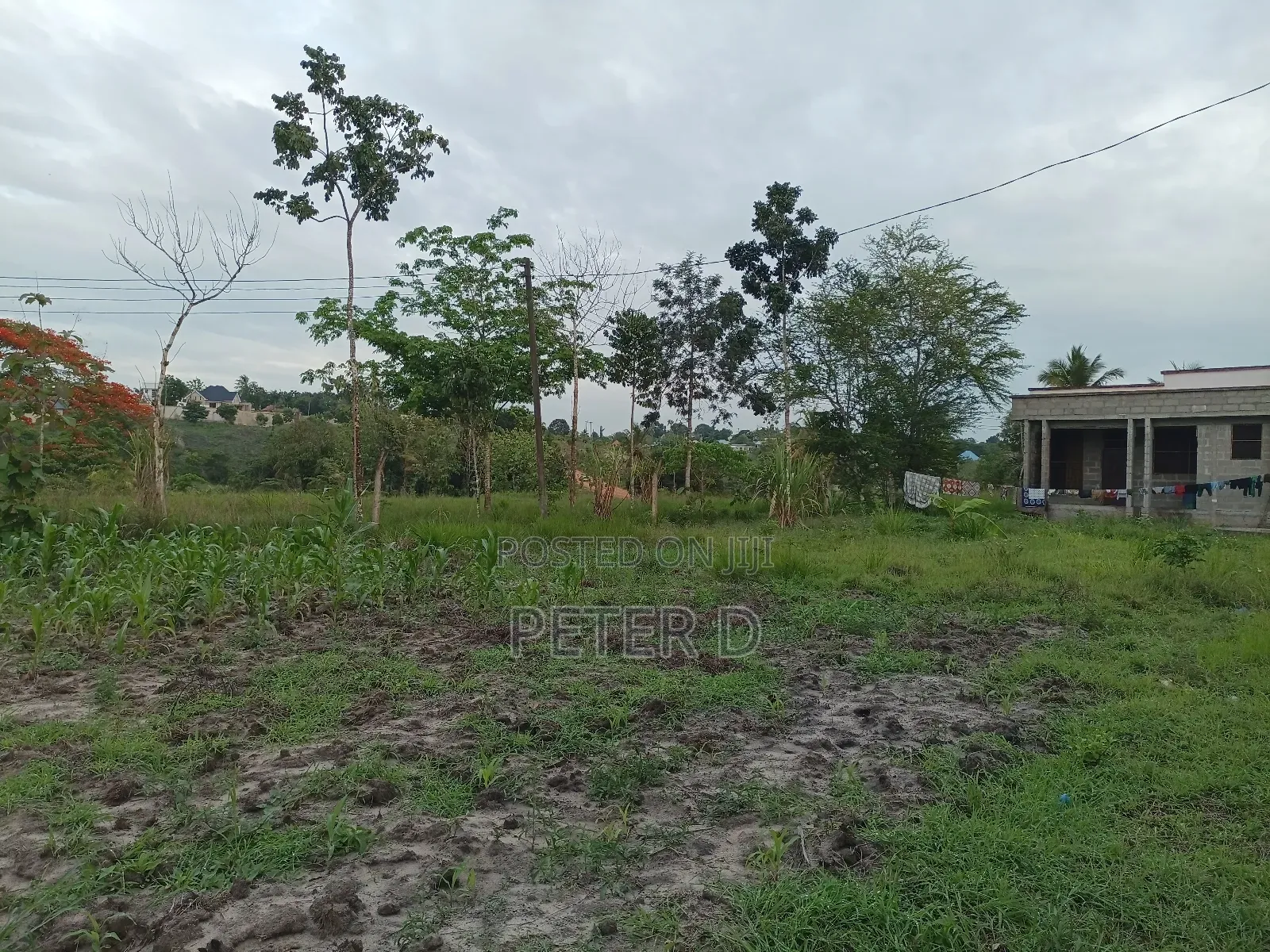 Viwanja Kidimu Vinagusa Lami