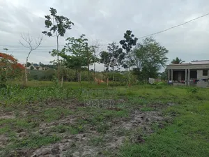 Viwanja Kidimu Vinagusa Lami
