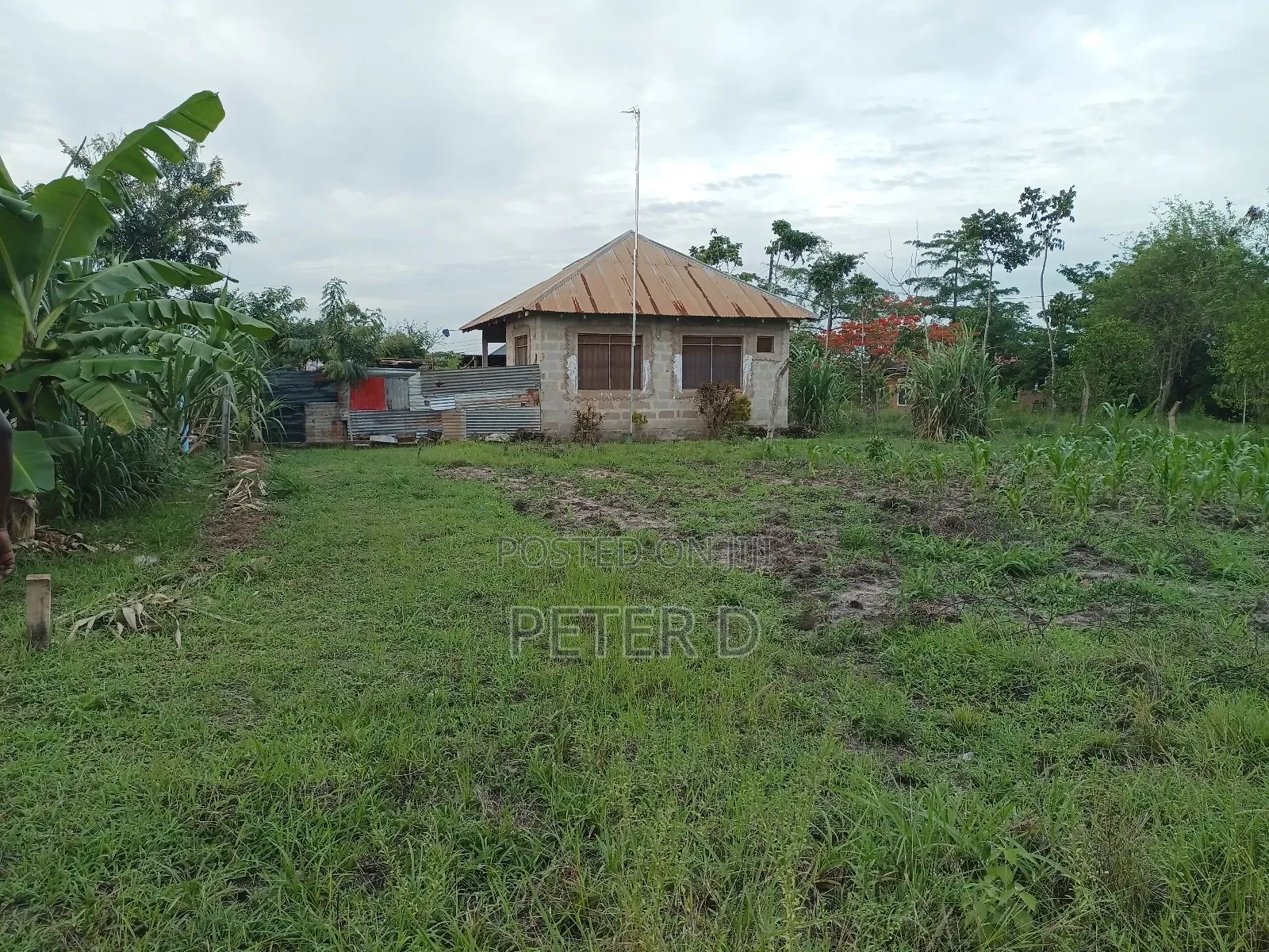 Viwanja Kidimu Vinagusa Lami