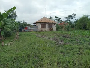 Viwanja Kidimu Vinagusa Lami
