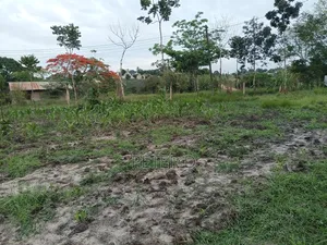 Kiwanja Mkeka Kibamba Kibwegere