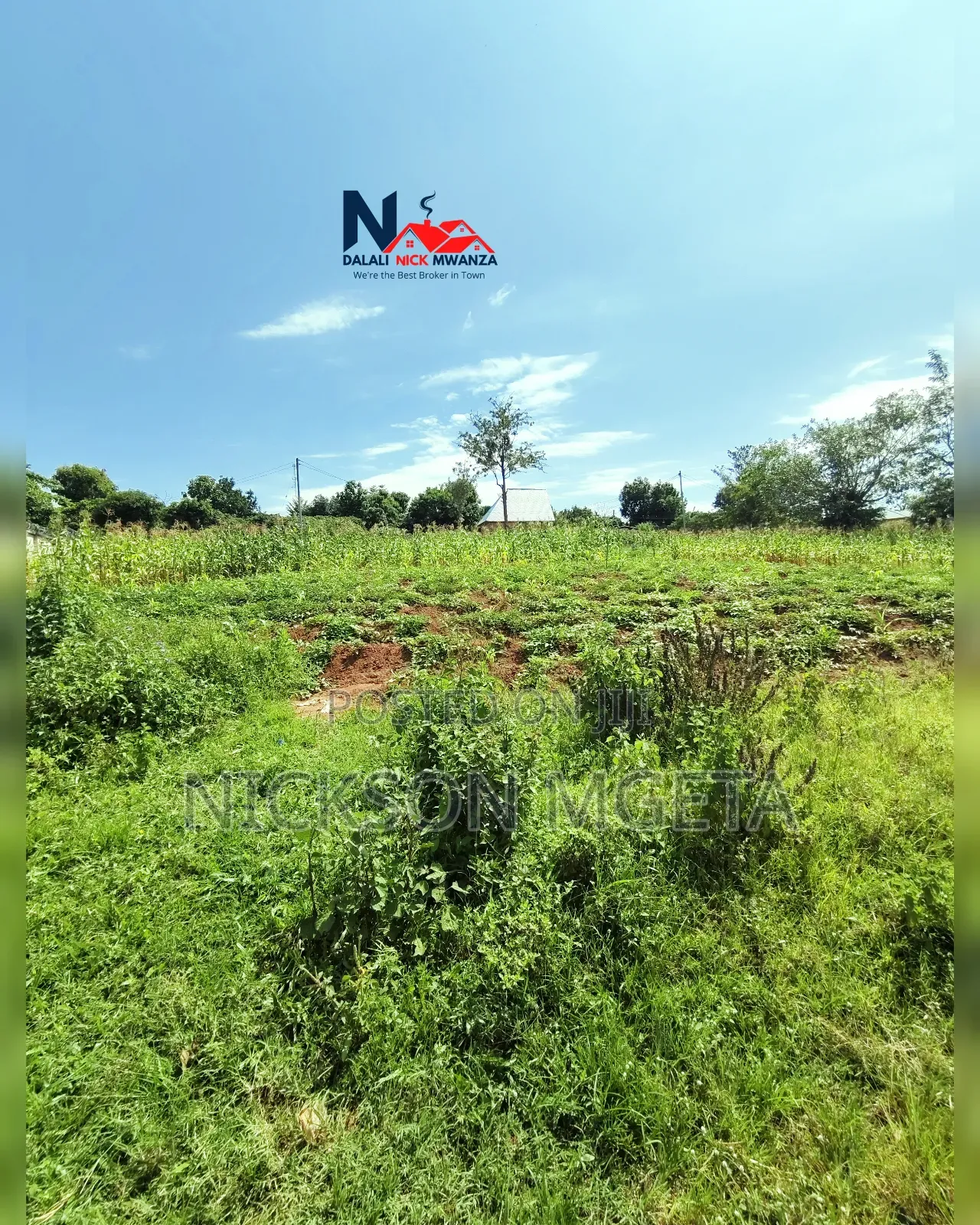 Plot for Sale