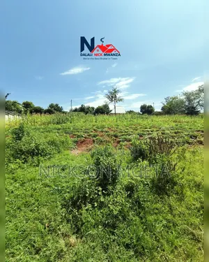 Plot for Sale