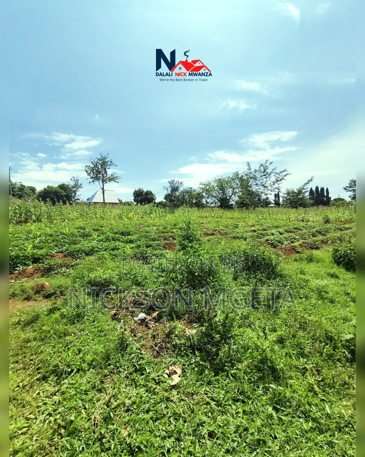 Plot for Sale