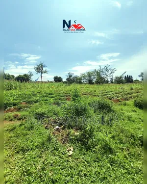 Plot for Sale