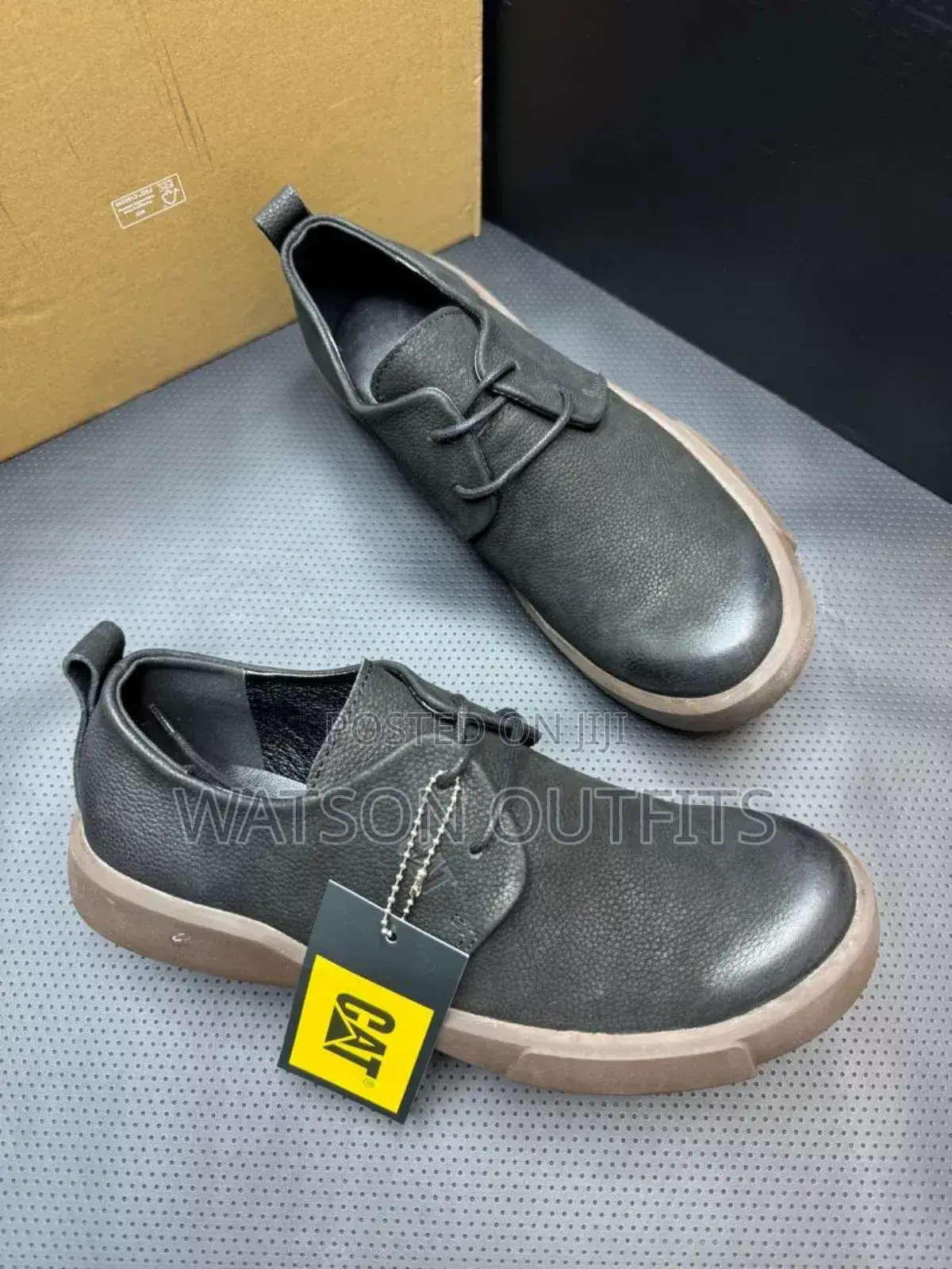 Smart Quality Cat Shoes/Footwears