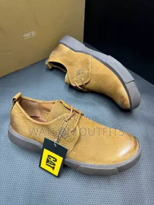 Smart Quality Cat Shoes/Footwears