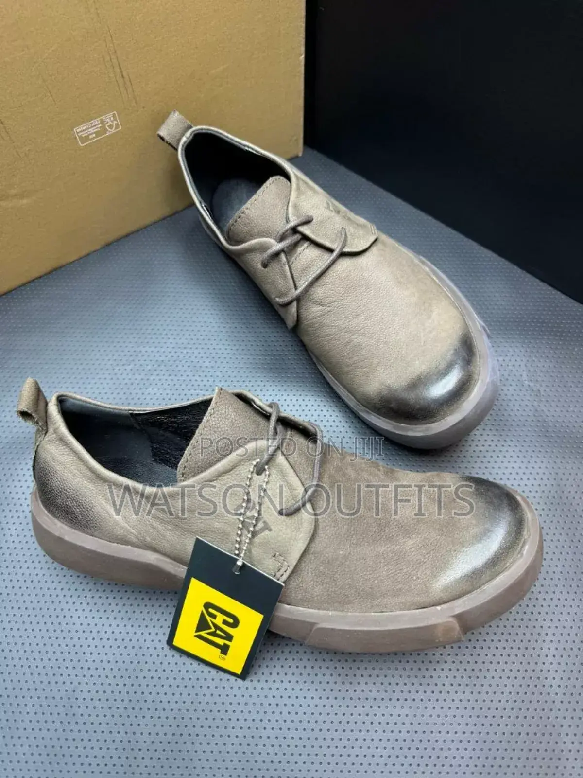 Smart Quality Cat Shoes/Footwears