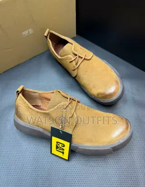 Smart Quality Cat Shoes/Footwears