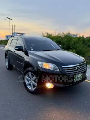Photo - Toyota Vanguard 2009 Gray