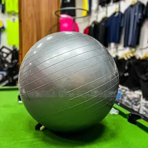 Yoga Ball Exercise Ball