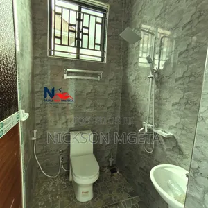 2bdrm Apartment in Dalali_Nick_Mwanza, Buswelu for rent