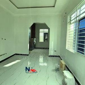 2bdrm Apartment in Dalali_Nick_Mwanza, Nyasaka for rent