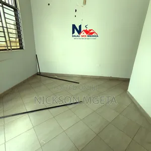 2bdrm Apartment in Dalali_Nick_Mwanza, Nyasaka for rent