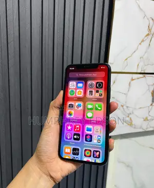 Apple iPhone 11 Pro Max 256 GB Gray
