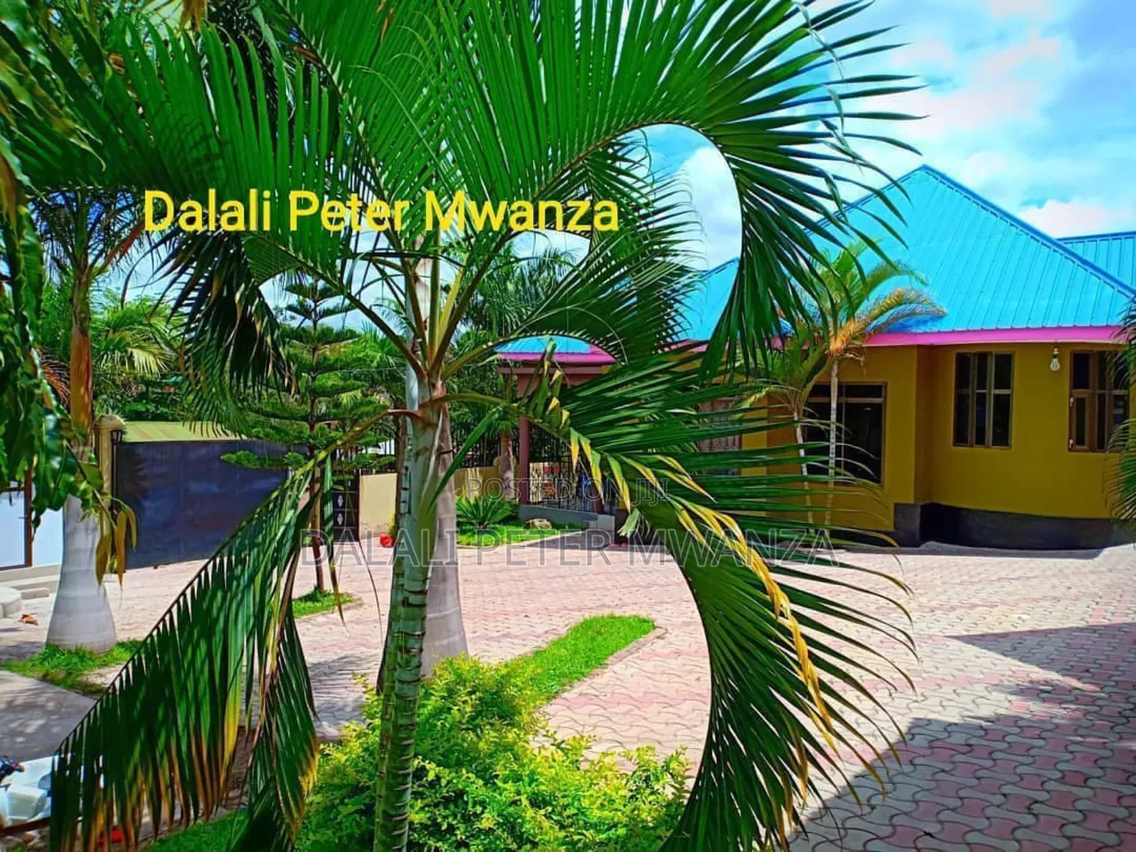 3bdrm House in Buzuruga, Nyamagana for rent