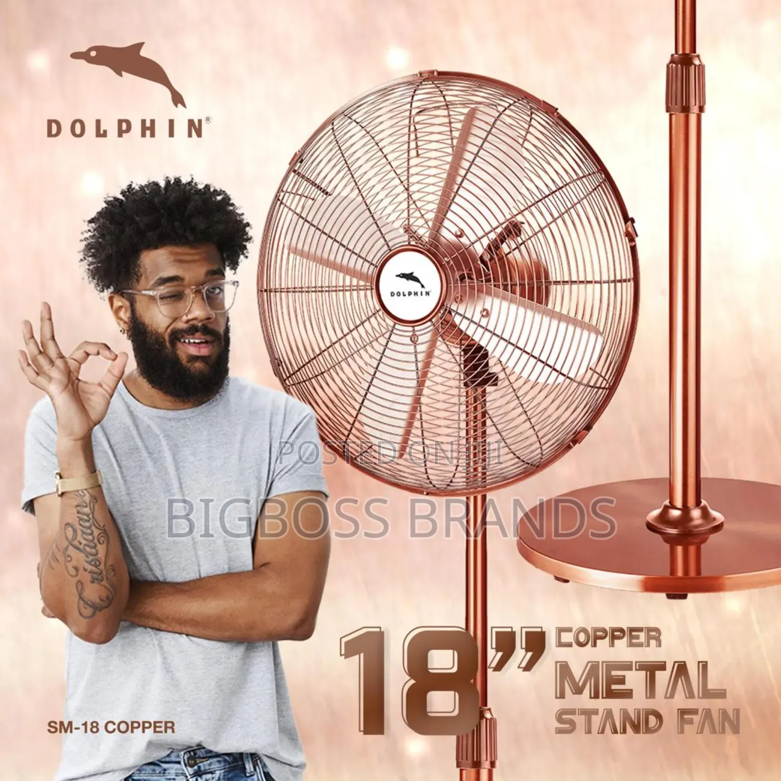 Dolphin  Stand Fan Size 18