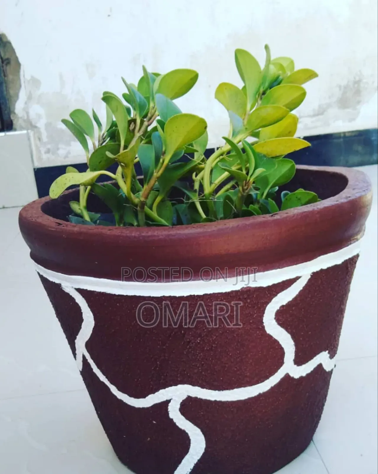 Cement Flower Pots